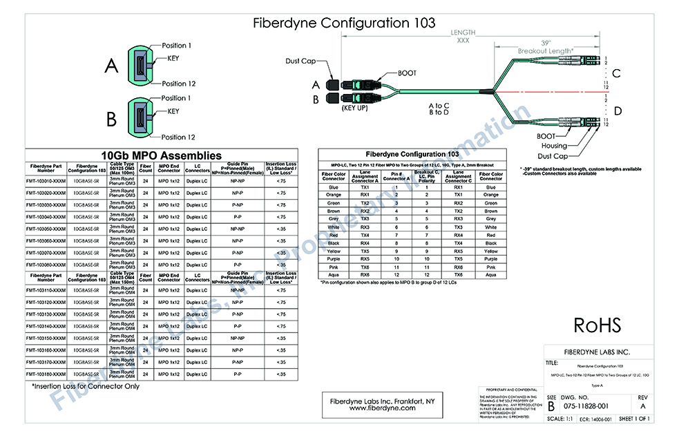 Configuration 103 MPO-LC, Two 12 Pin 12 Fiber to Two groups of 12 LC, 10G, Type A, 2mm Breakout
