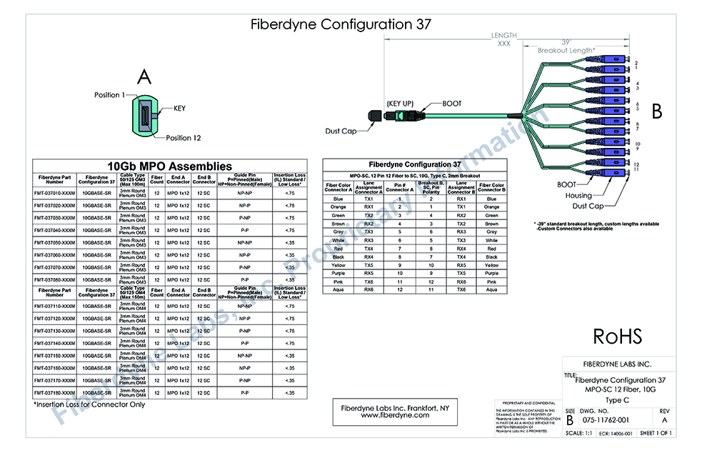 Configuration 37 MPO-SC, 12 Pin 12 Fiber to 12 SC, 10G, Type C, 2mm Breakout