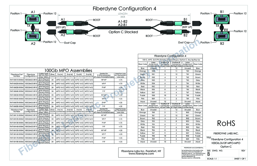Configuration 4 MPO-MPO, Two 12 Pin 10 Fiber to Two 12 Pin 10 Fiber, 100G, Option C