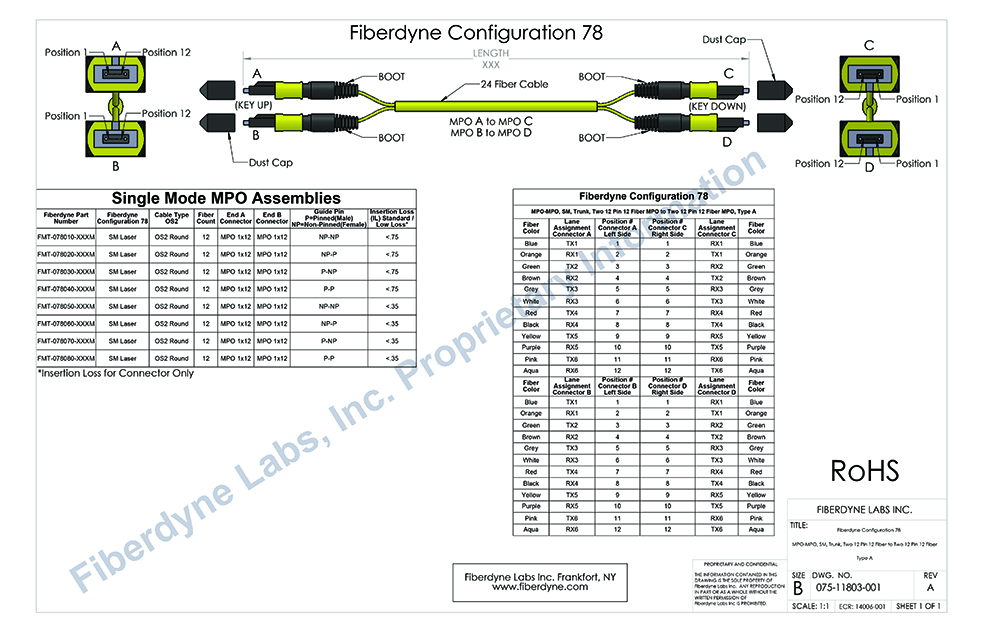 Configuration 78 MPO-MPO, SM, Trunk, Two 12 Pin 12 Fiber MPO to Two 12 Pin 12 Fiber MPO, Type A