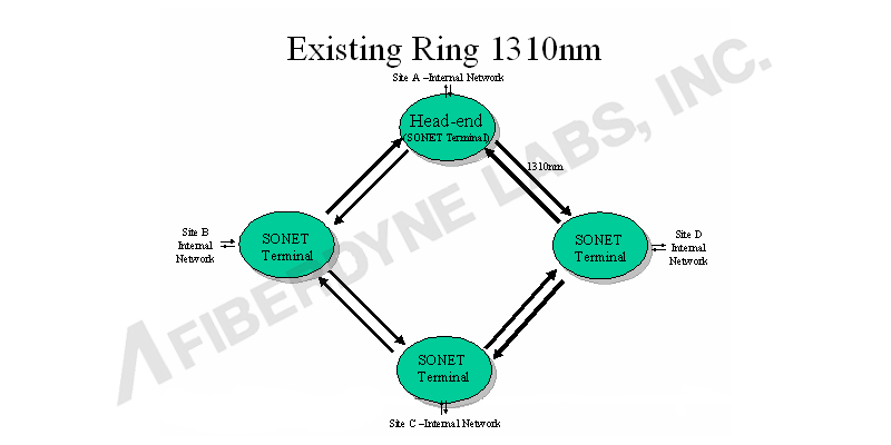 Existing Ring 1310nm