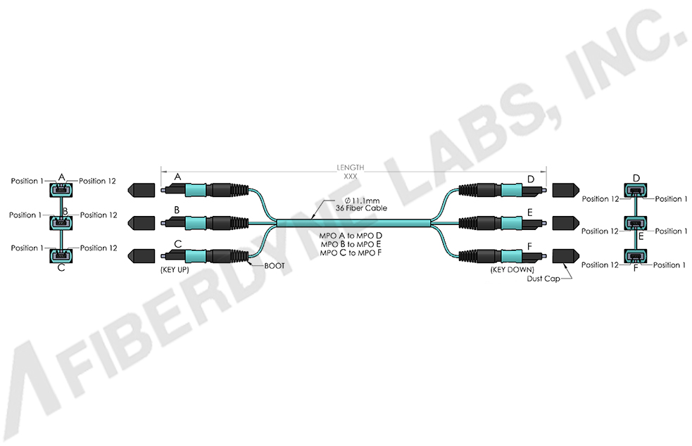 MPO 36 Fiber OM3 and OM4, 50/125 Multimode Assemblies 