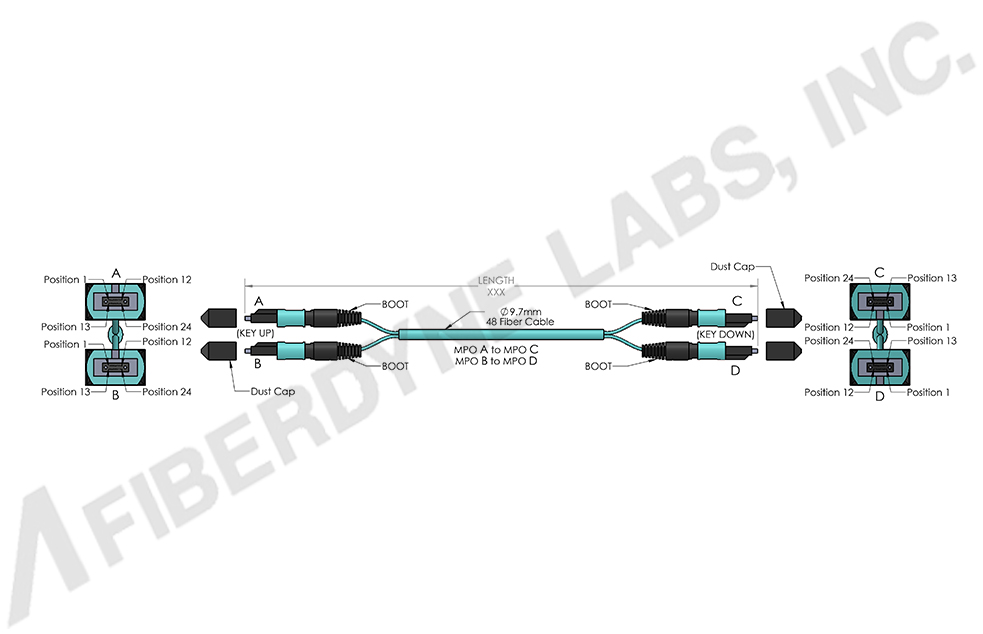 MPO 48 Fiber OM3 and OM4, 50/125 Multimode Assemblies 